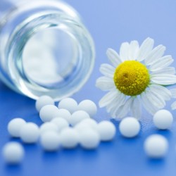 Homeopathy for Breast Support