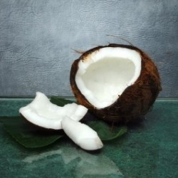 Coconut: The Ultimate Brain Food