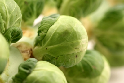 Brusselssprouts