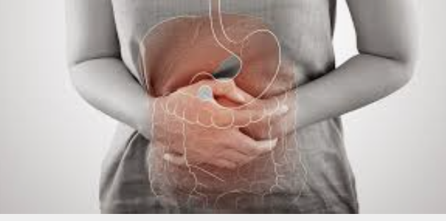 Struggling to Feel Better? Gut Health Testing May Be the Missing Piece.