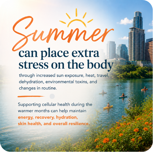 Why Your Cells Need Extra Support This Summer