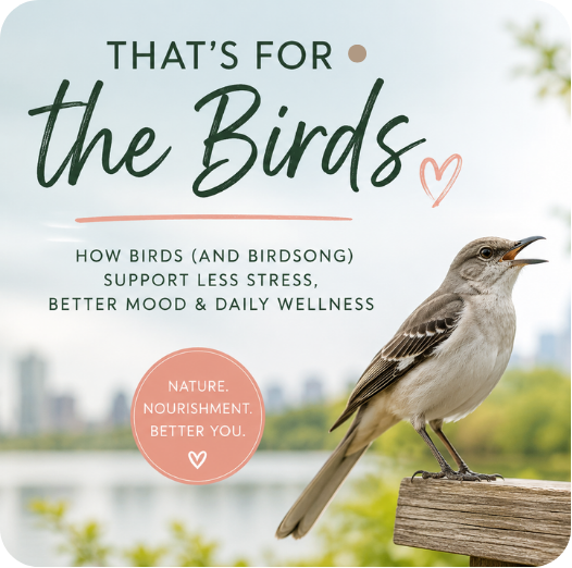 Why Watching Birds May Be One of the Best Things You Do for Your Health